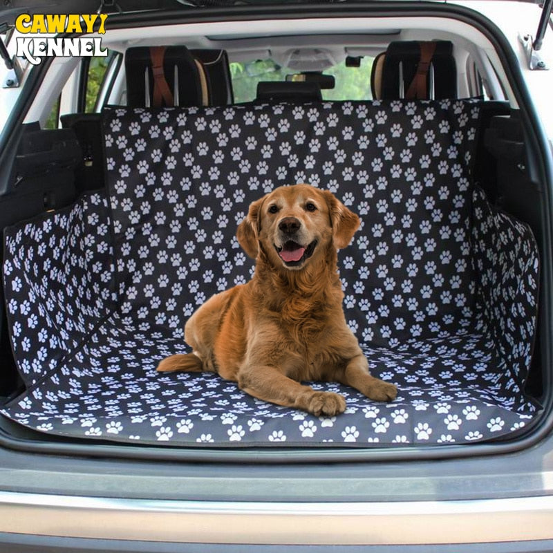 Pet Travel