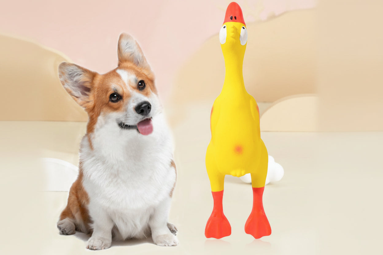 Dog Toys