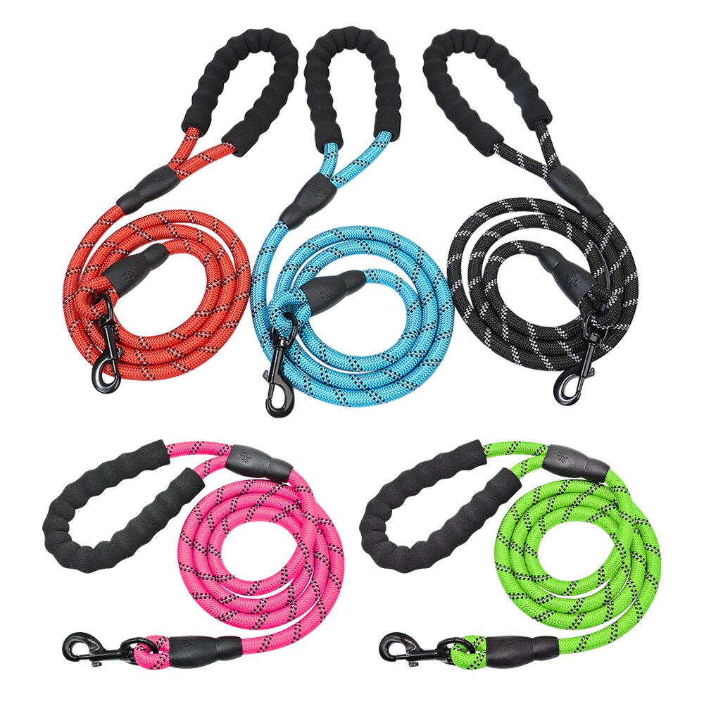 Dog Leashes & Harnesses