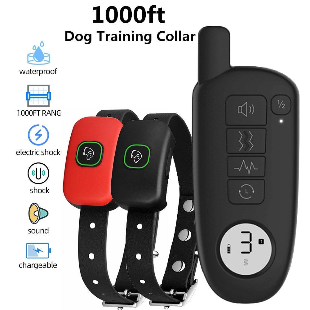 Dog Training
