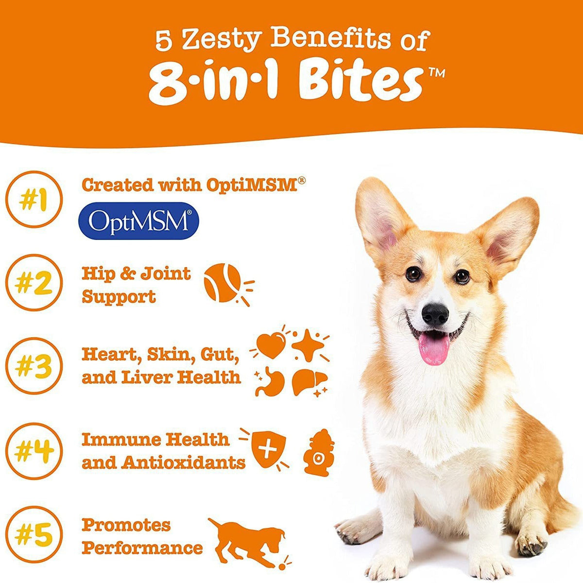 Pet Health & Supplements