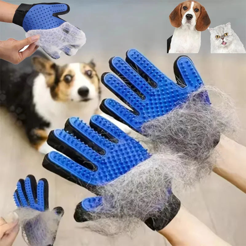 Pet Grooming