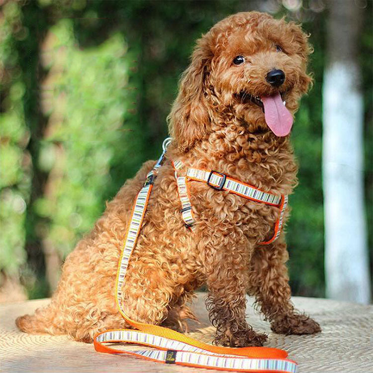 New Pet Supplies Dog Striped Nylon Chest And Back (Including Leash) Cover