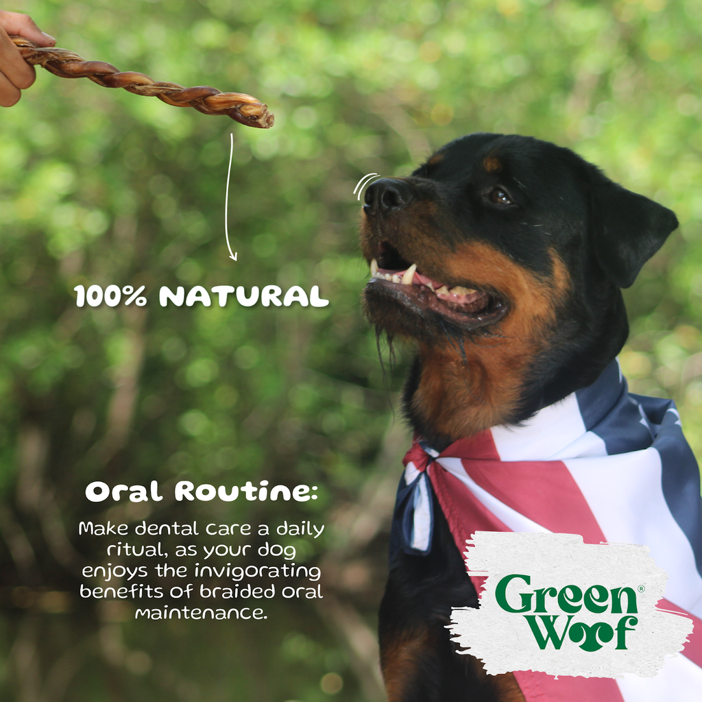 Green Woof Braided Bully Sticks for Dogs – Natural Beef Chew
