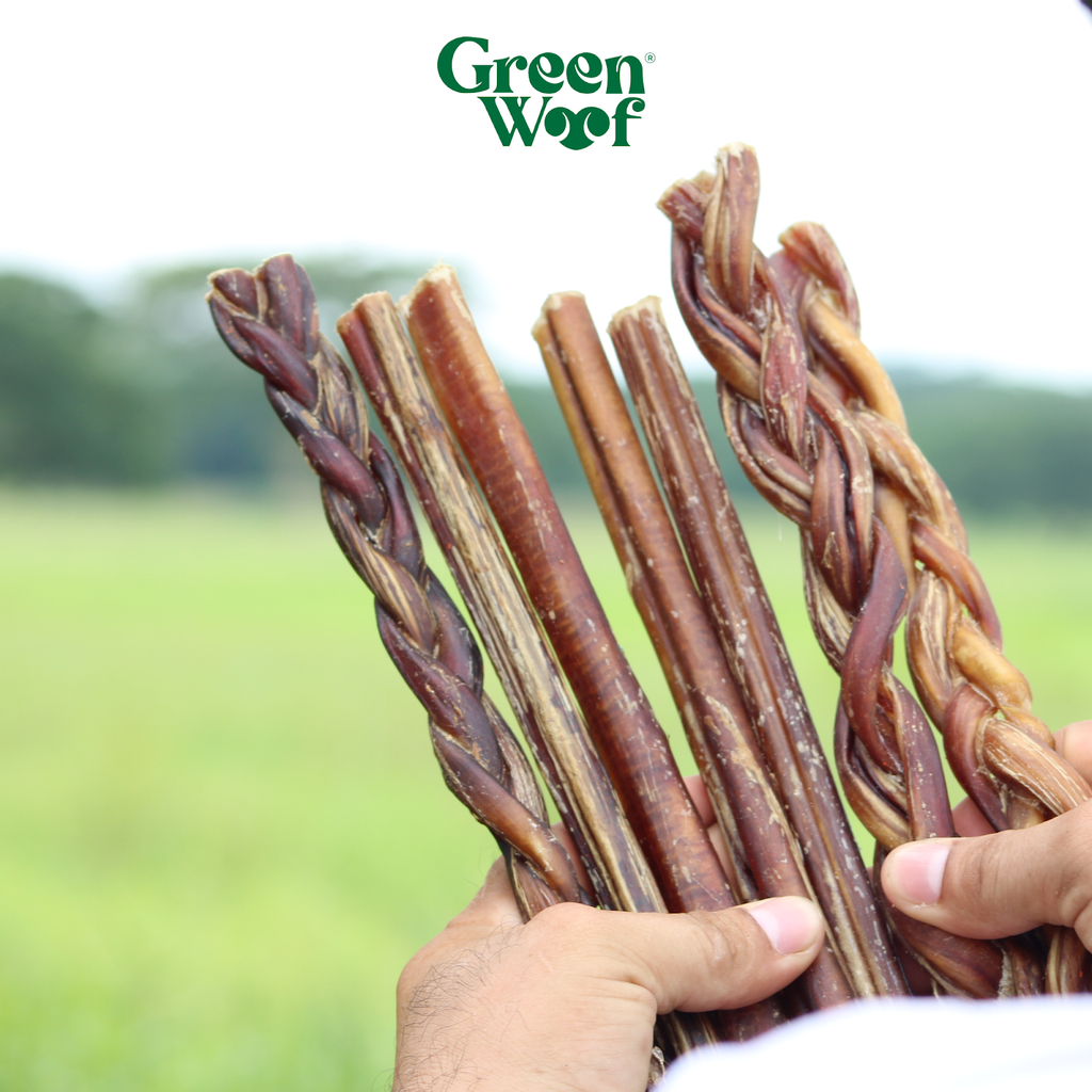 Green Woof Braided Bully Sticks for Dogs – Natural Beef Chew