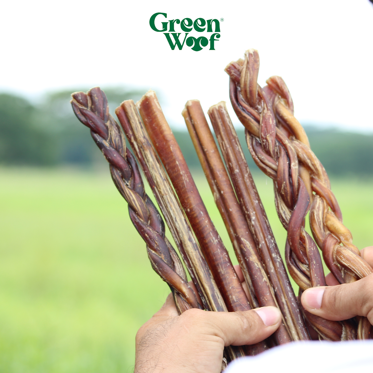 Green Woof Braided Bully Sticks for Dogs – Natural Beef Chew