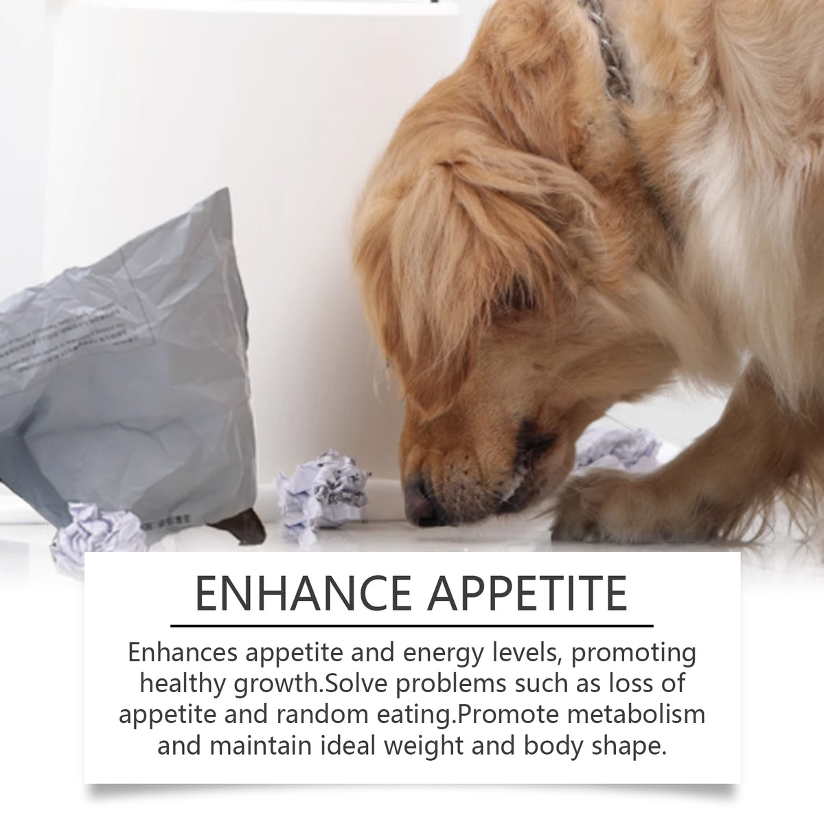 Yegbong Minerals For Dogs, Support Nerves And Promote Overall Health With Calcium And Magnesium Supplements