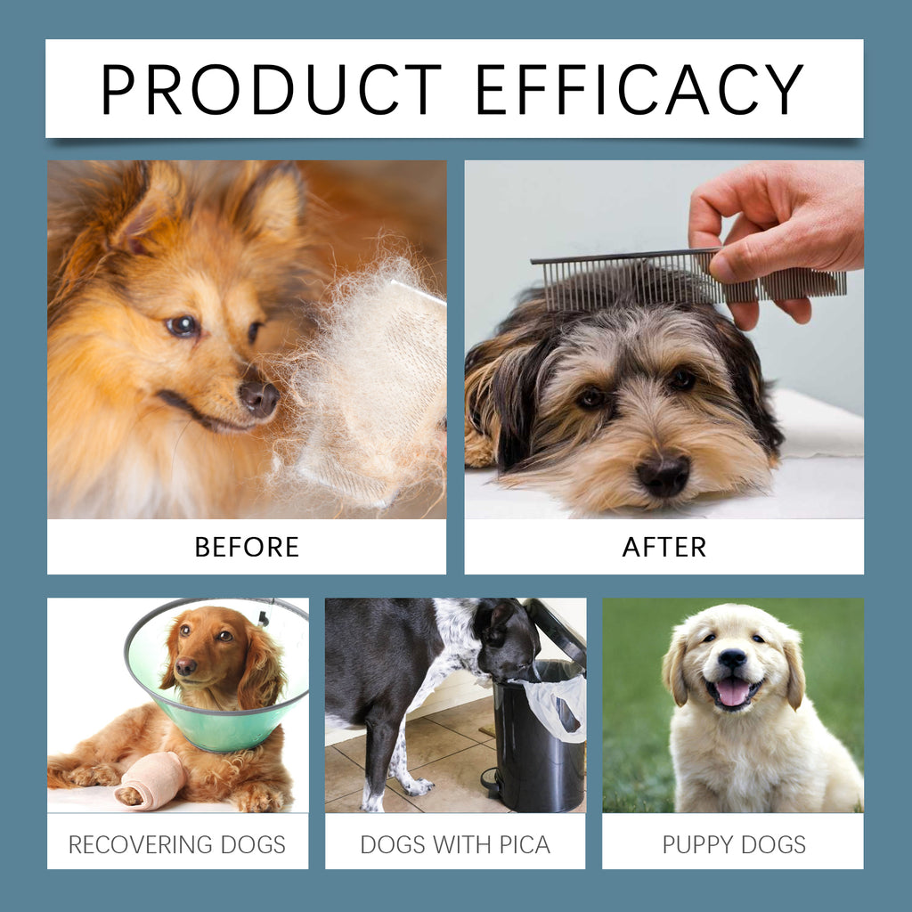 Yegbong Minerals For Dogs, Support Nerves And Promote Overall Health With Calcium And Magnesium Supplements