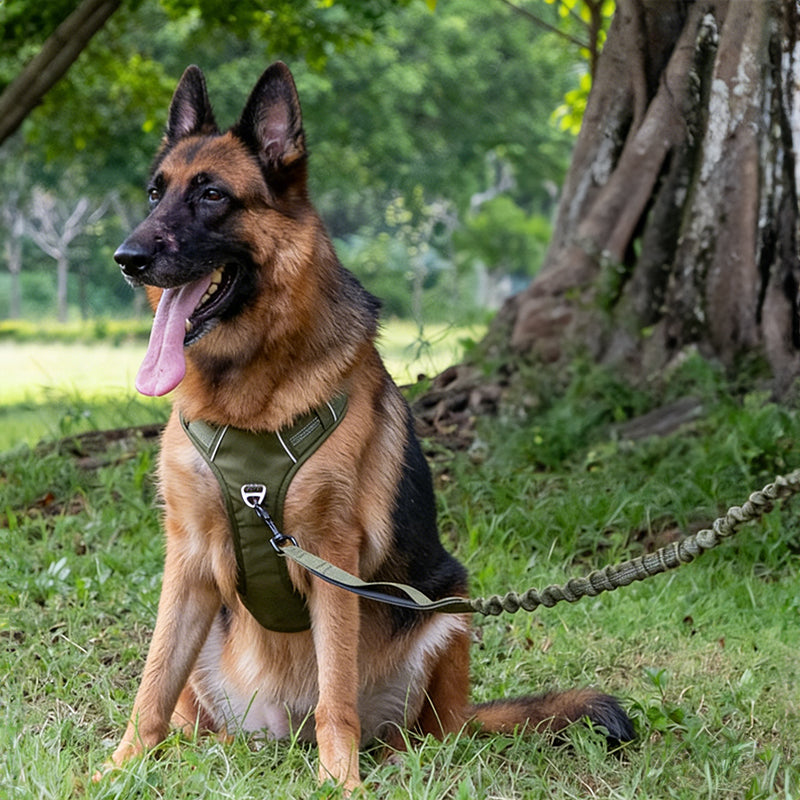 Breathable Reflective Dog Harness Vest, Outdoor No-Pull Escape-Proof Harness with Leash for Large & Medium Dogs