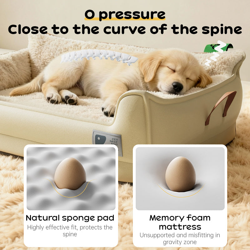 Heavy-Duty All-Weather Dog House: Chew-Resistant, Portable & Washable for Medium/Large Dogs