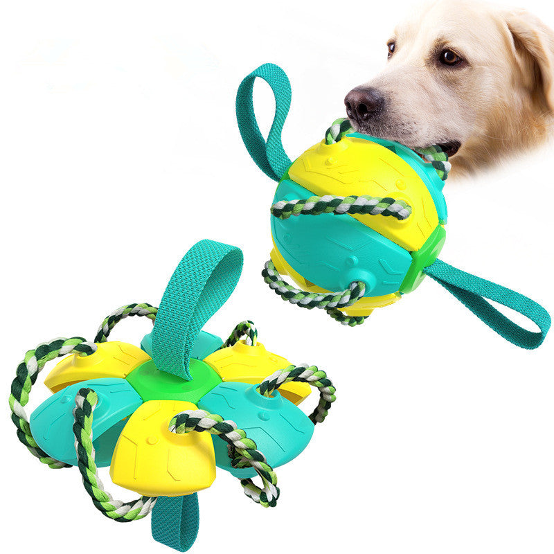 Pet Supplies Throwing Frisbee Outdoor Training Interactive Frisbee Football Dog Toy