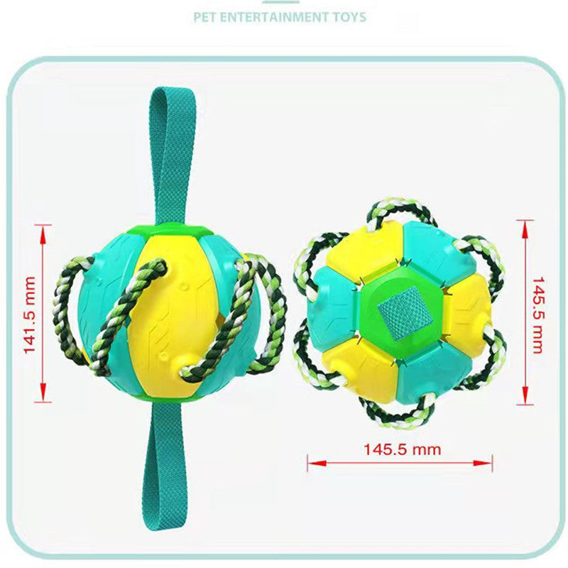 Pet Supplies Throwing Frisbee Outdoor Training Interactive Frisbee Football Dog Toy