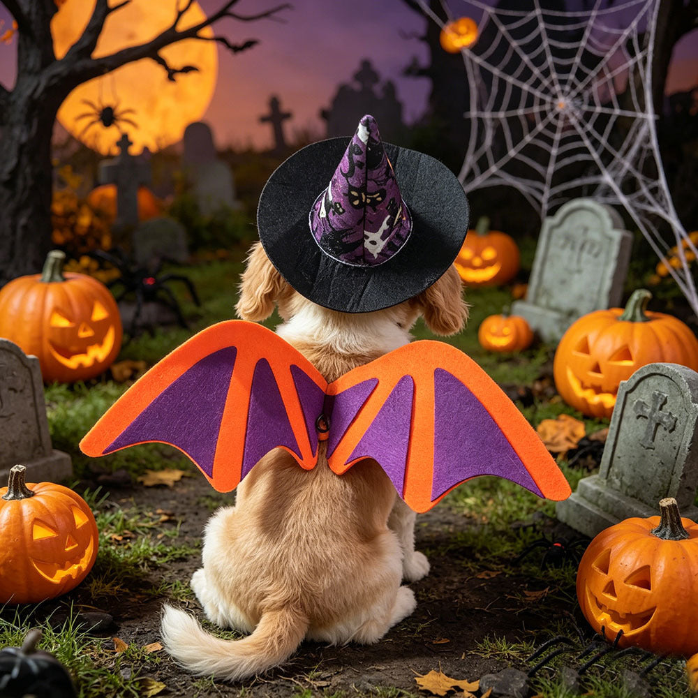 Fashion Halloween Pet Bat Wings Hat Bow Tie Set for Cats and Dogs