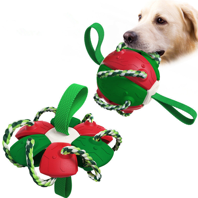Pet Supplies Throwing Frisbee Outdoor Training Interactive Frisbee Football Dog Toy