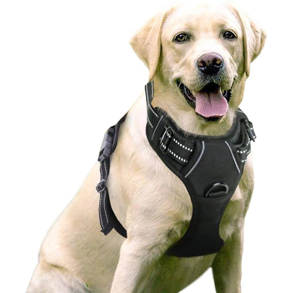 Pet Dog Chest Strap Vest Type Dog Explosion-Proof Buckle Traction Rope Dog Supplies Chest Strap