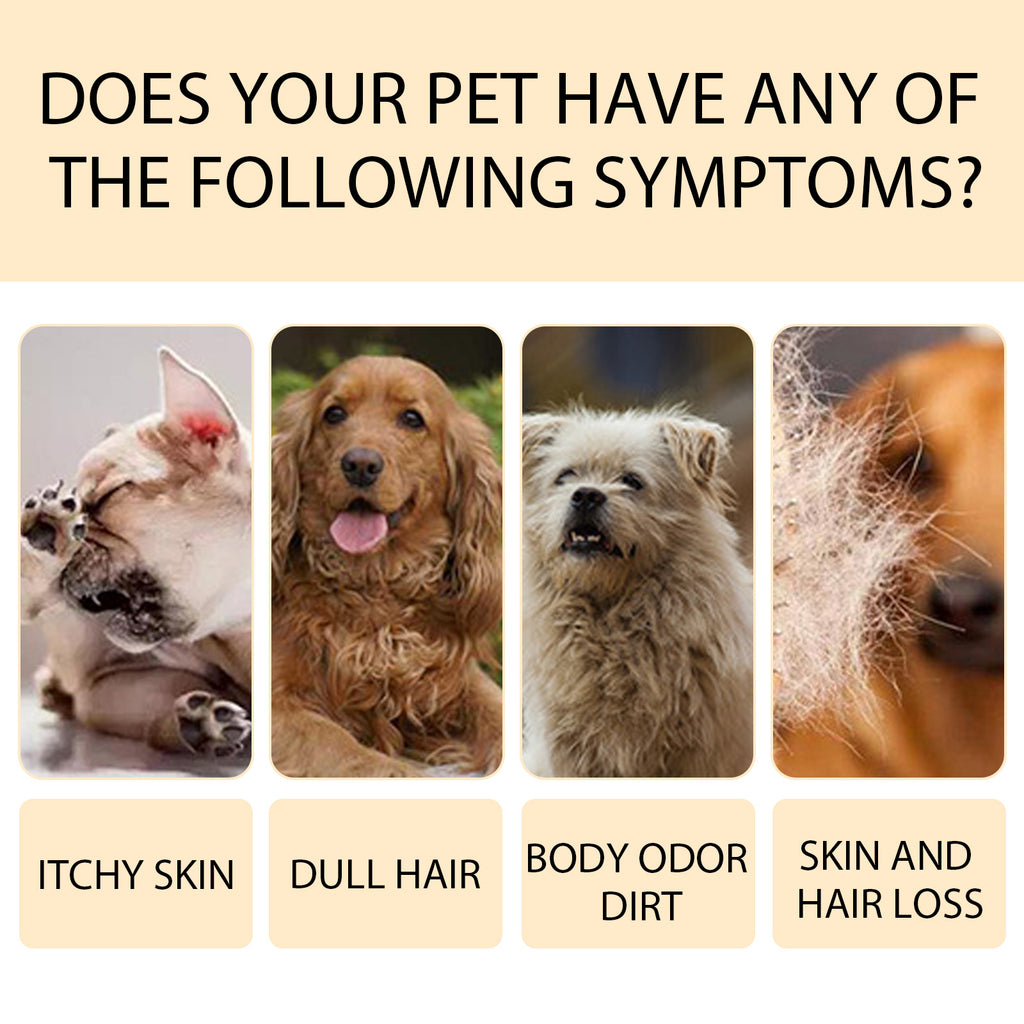 Yegbong Pet Shampoo (100g) Is A Gentle And Cleansing Shampoo That Makes The Fur Of Pet Cats And Dogs Smooth And Free Of Tangles