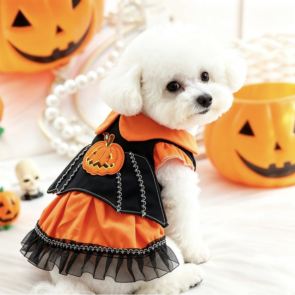 Halloween Pumpkin Dress for Dogs and Cats, Spring and Autumn Pet Costume, Small Dog Party Outfit
