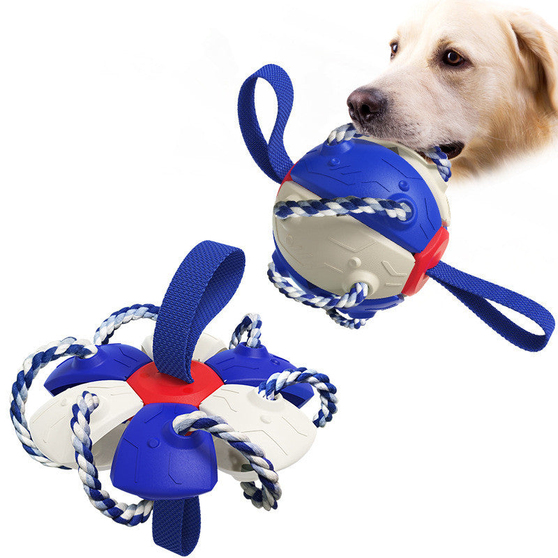 Pet Supplies Throwing Frisbee Outdoor Training Interactive Frisbee Football Dog Toy