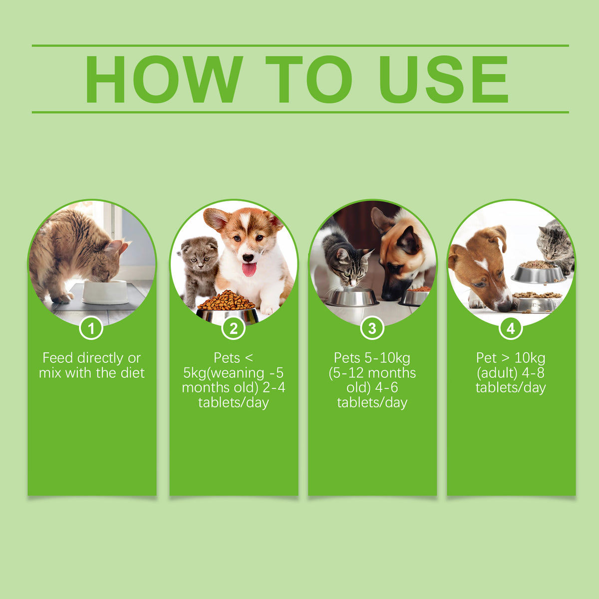 Pet Probiotic Tablets Improve Gut Health And Promote Nutritional Absorption Of Pet Care Supplements