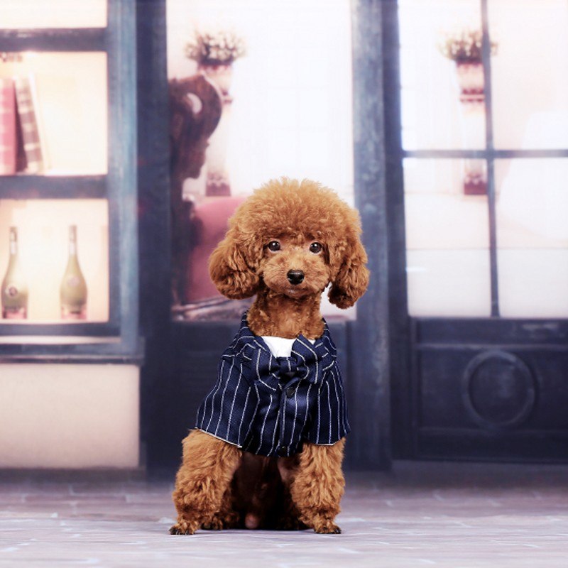 Dog Clothes Pet Shirt Striped Suit Jacket Coat Wedding Tuxedo Suit With Bow Tie Clothing 200