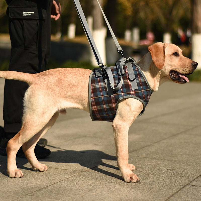 Pet Dog Leg Support Harness for Post-Surgery Recovery, Elderly Dogs, Large Breed Walking Assistance Brace