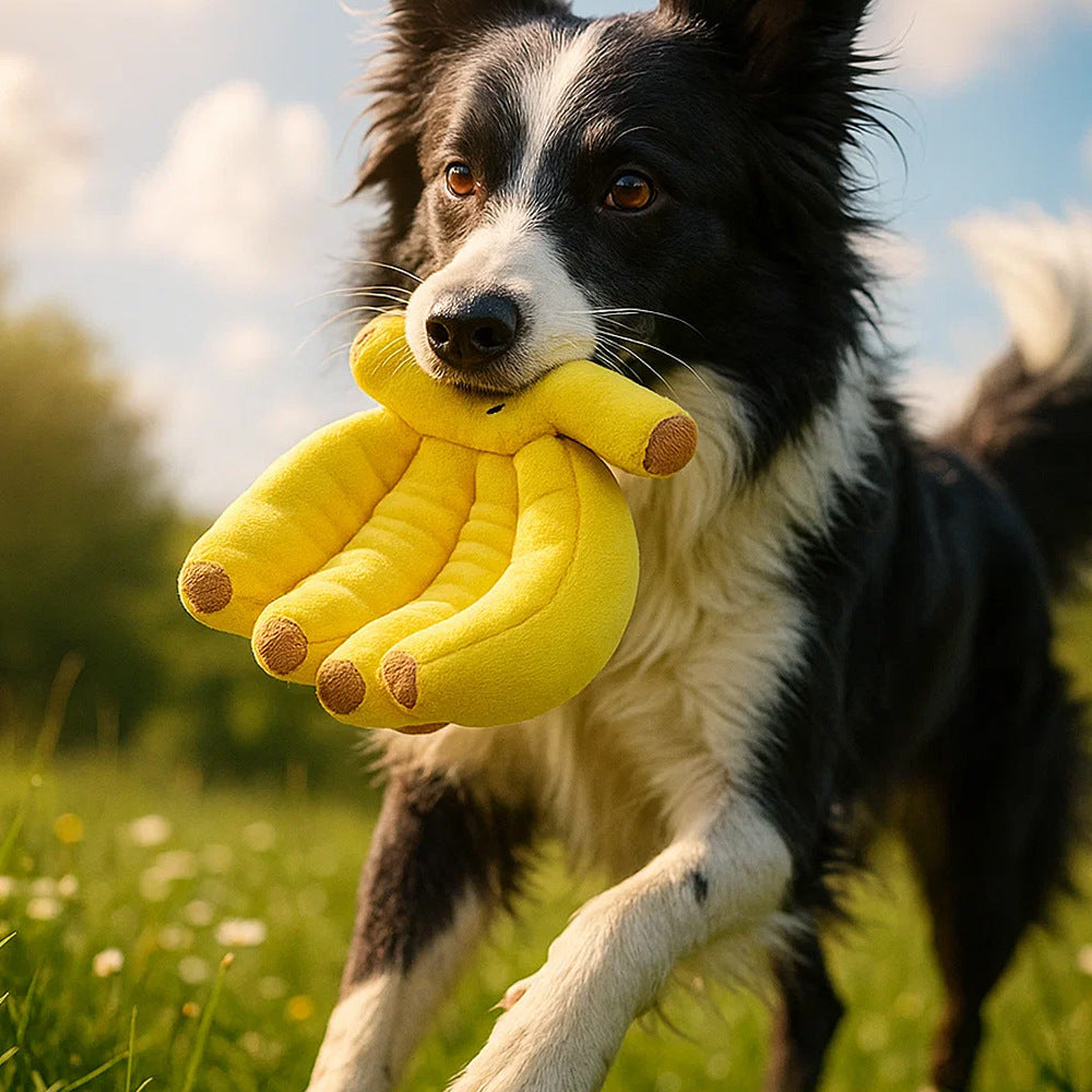Dog makes noises and chews on plush banana toys  fun and entertaining toy for dogs to relieve boredom