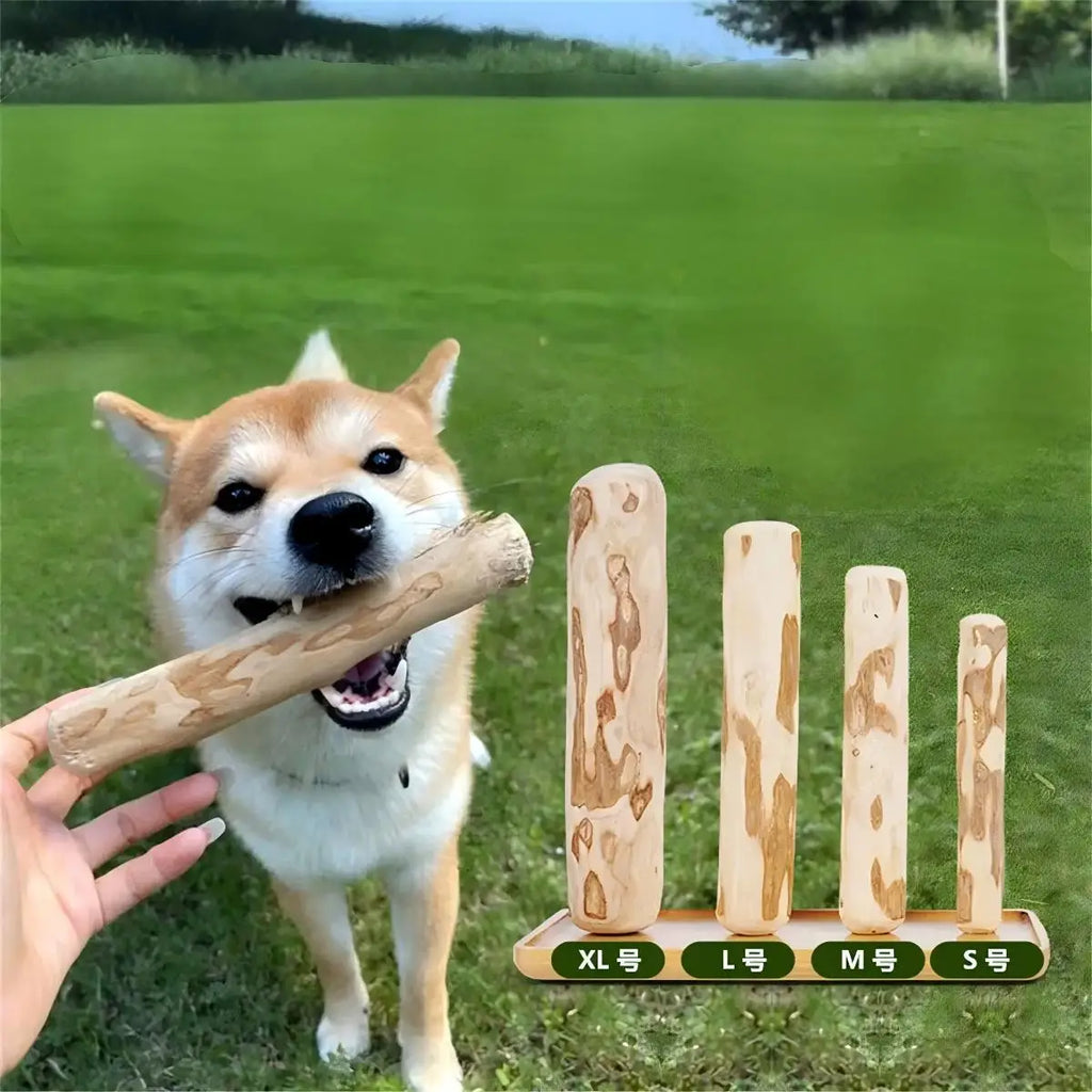 S1e0d7d75faf446938e8b4dacdb633553I